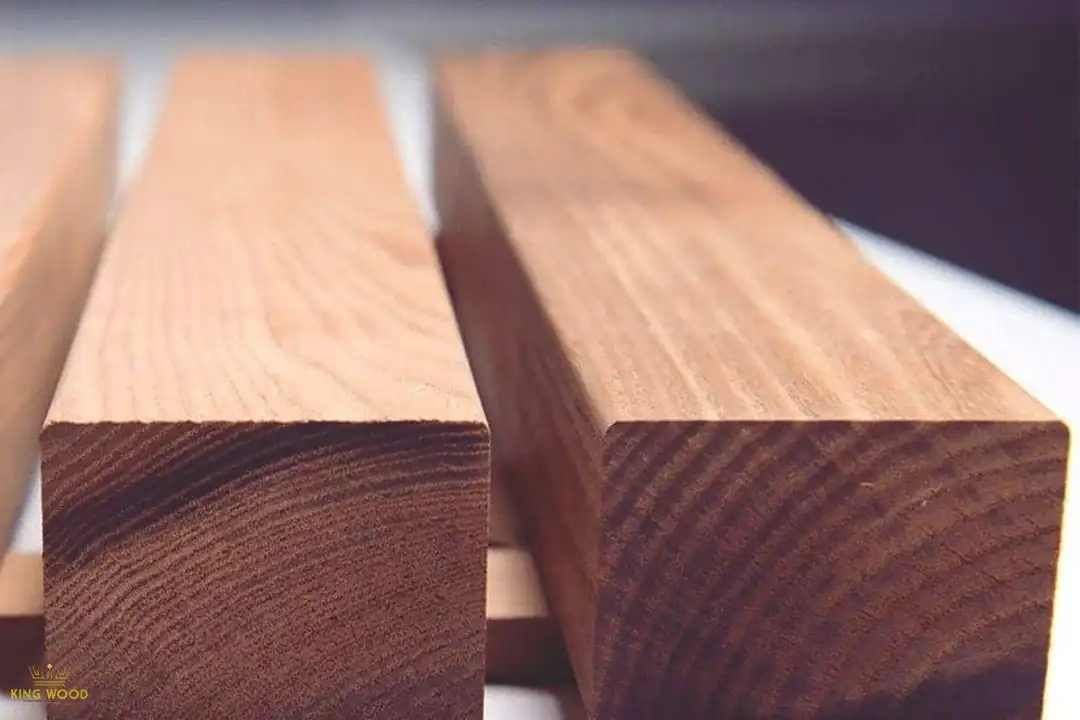 ترمووود شاخه ای