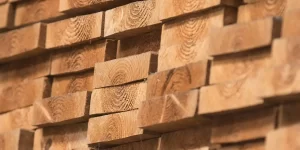 لیست قیمت چوب ترموود ( ارزان + بدون واسطه✅)