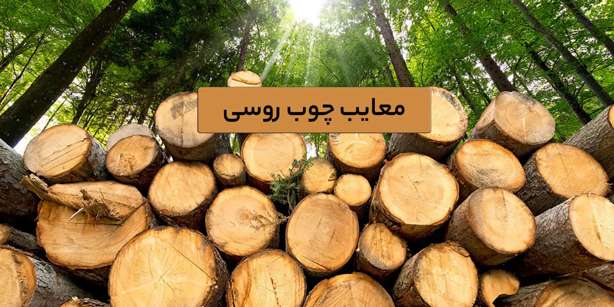 معایب چوب روسی