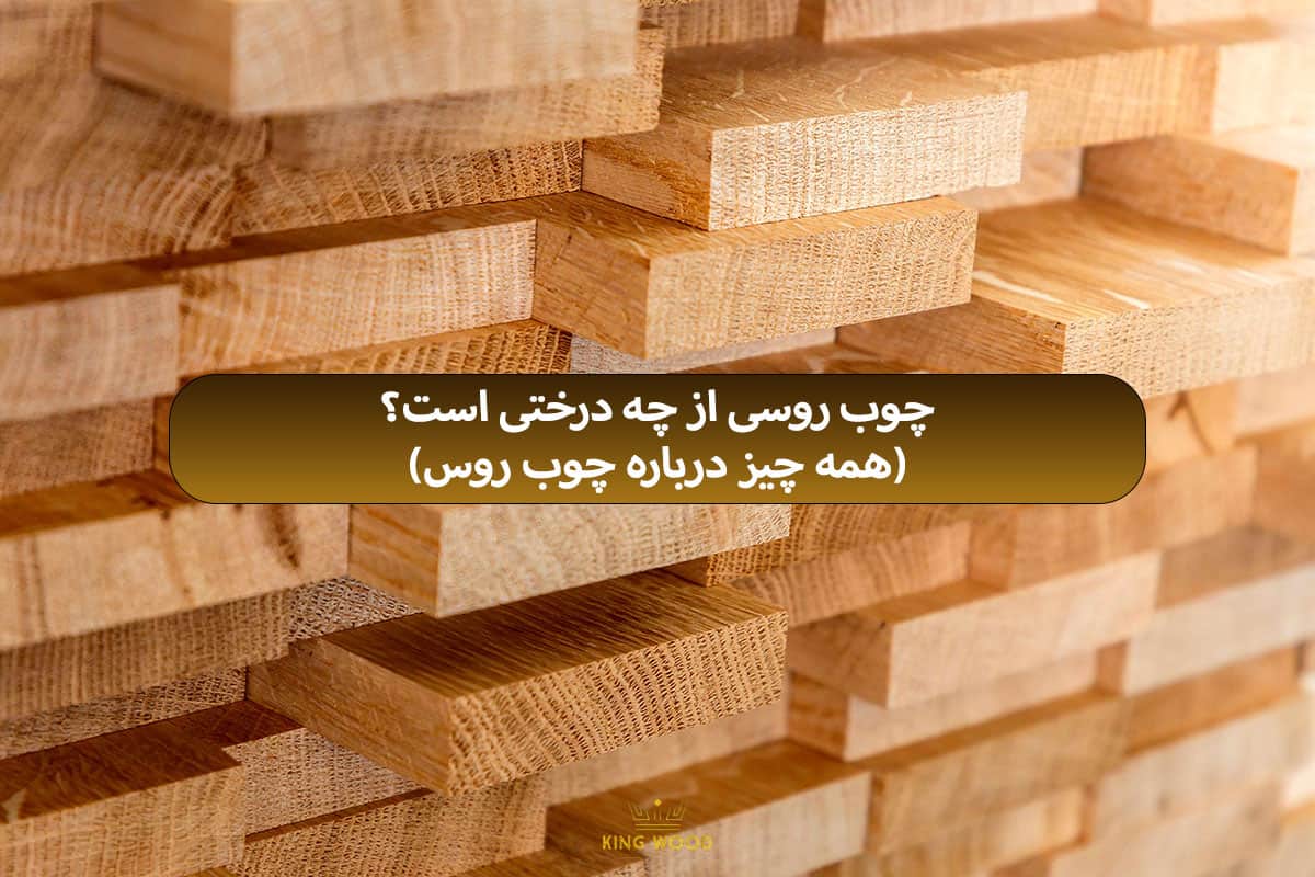 چوب روسی از چه درختی است