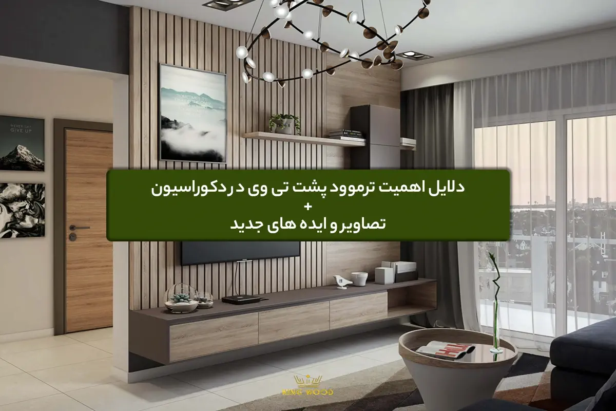 اهمیت ترموود پشت تی وی